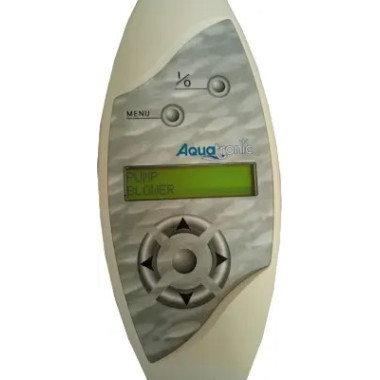 Remote control repair service