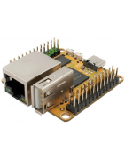 Controller, wie Raspberry PI mit Domoticz, ESP8266, ...